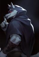 ai_generated death_(puss_in_boots) furry puss_in_boots_(franchise) wolf // 832x1216 // 60KB